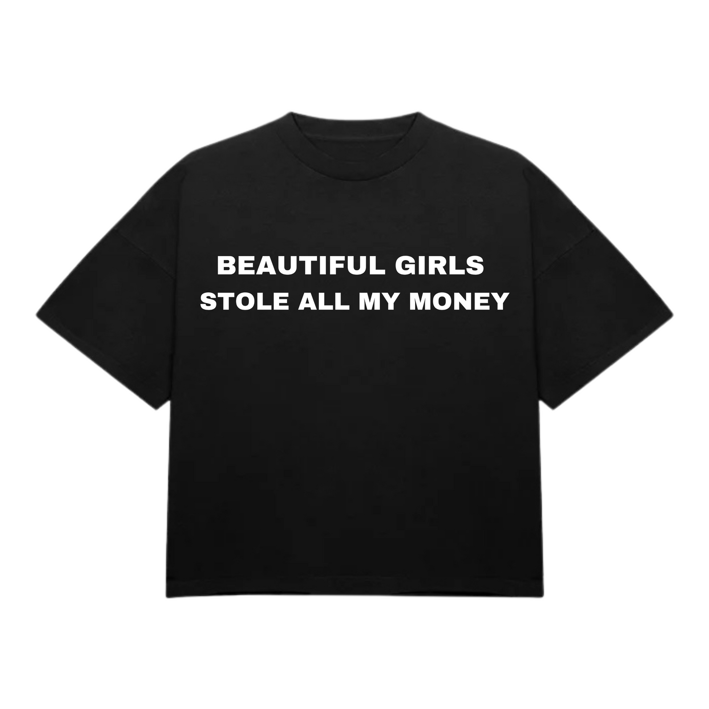 STOLE ALL MY MONEY T-SHIRT